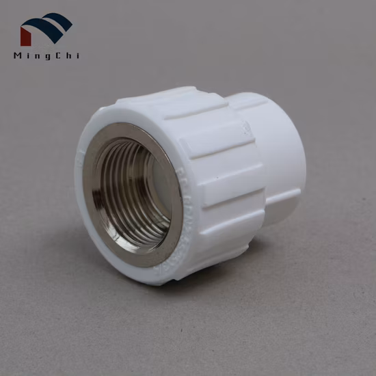 Acessórios para tubos Zhuji PPR Material PPR Inserção de latão Adaptador de soquete feminino Thearded doméstico